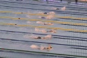 100 Fly-Japan...Lane 7